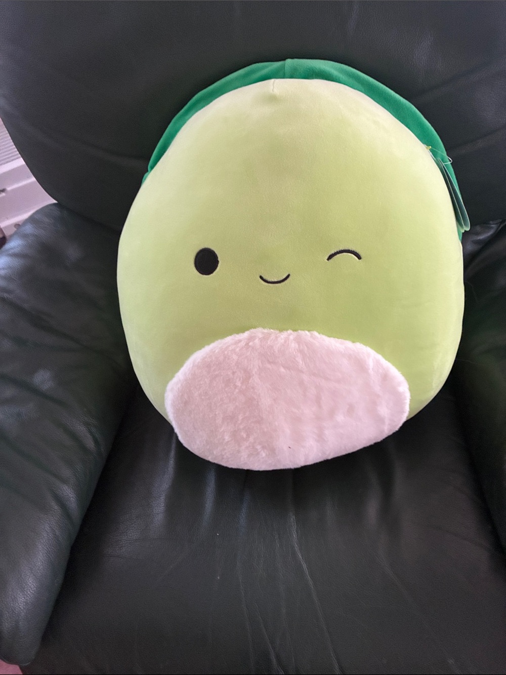 Squishmallows Henry Green Avocado Plush with Cream Face Patch